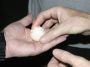 Nic - 162 * A egg unearthed from an earlier nest and broken - this is not an effecient process!